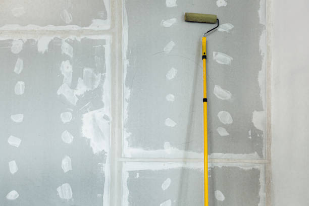 Best Mold Removal for HVAC Installations  in Lutcher, LA