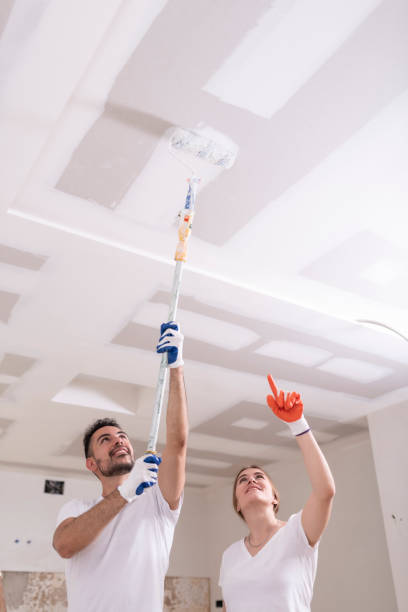 Lutcher, LA Mold Removal Company