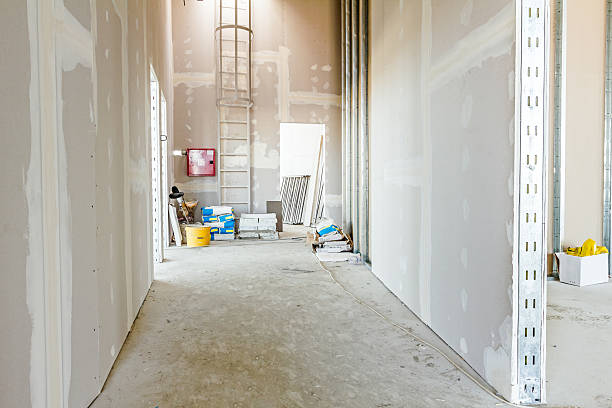 Best Attic Mold Removal  in Lutcher, LA